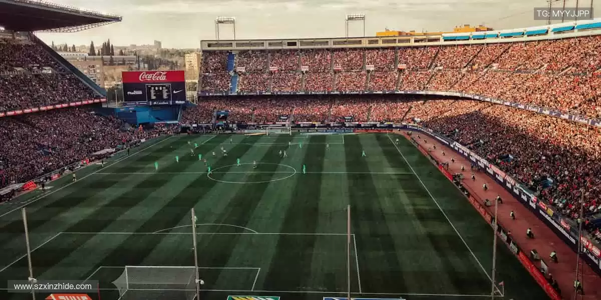 珍藏热爱，从这里开始！🎁🌟